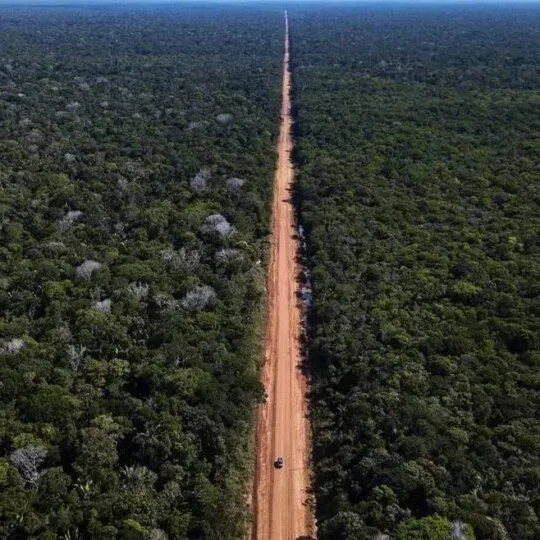 Governo destina R$ 76 milhões para projetos de pontes na BR-319