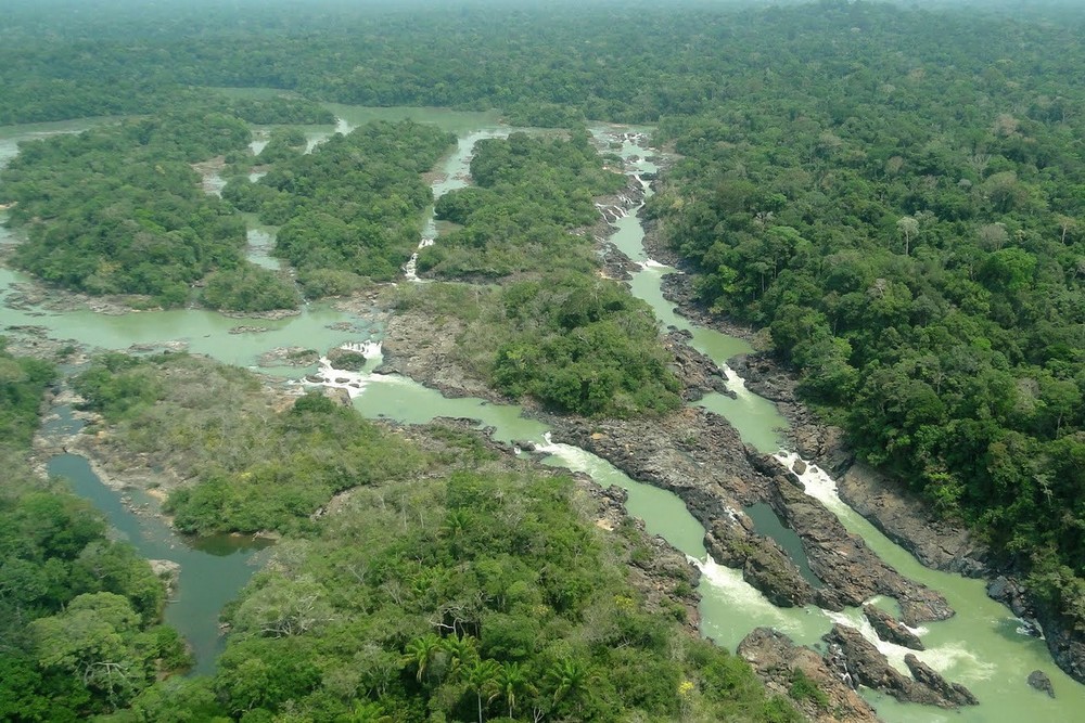 Câmara aprova mudança que reduz proteção na floresta do Jamanxim