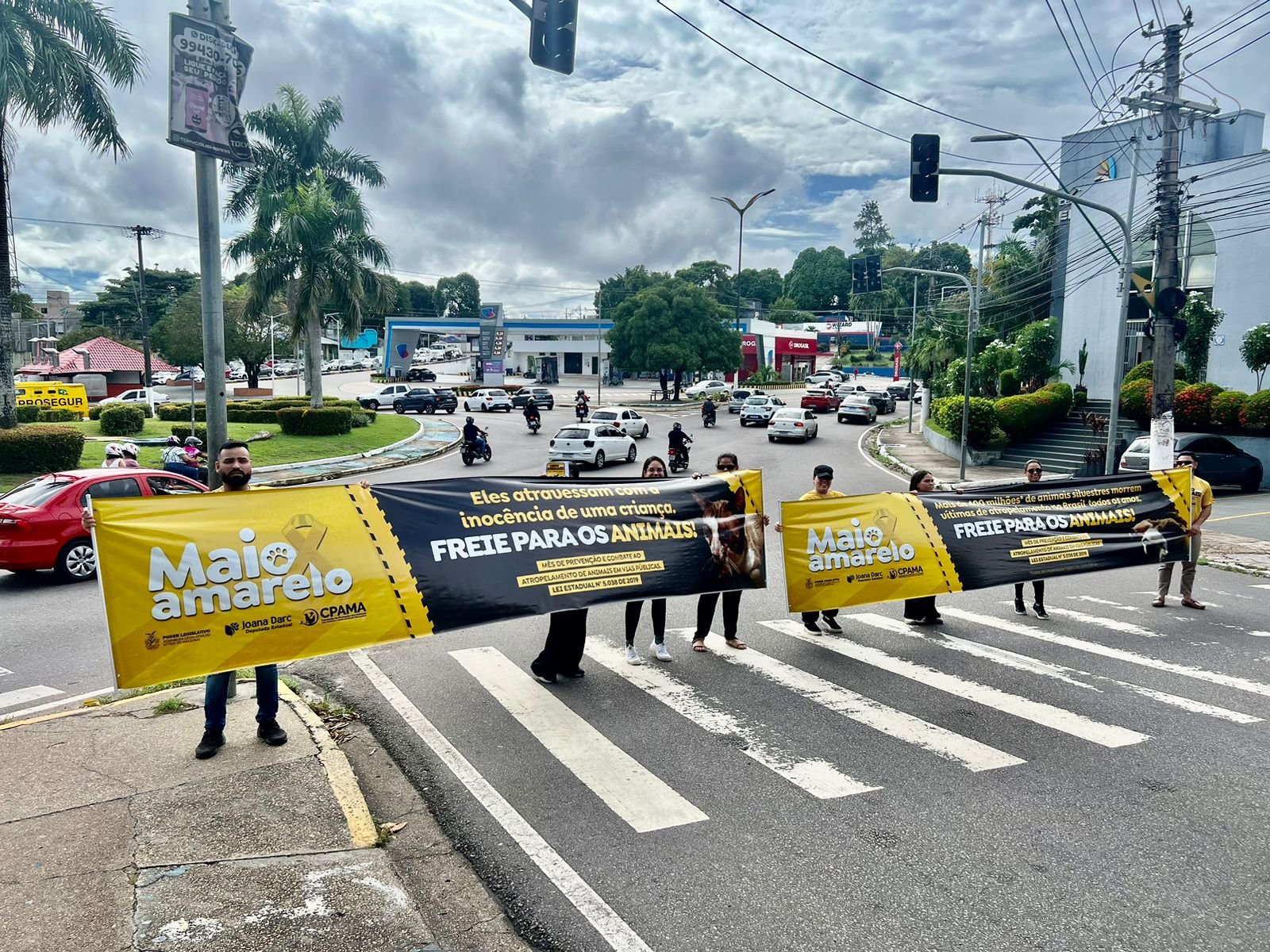 Comissão de Proteção aos Animais da Assembleia Legislativa do Amazonas inicia ações voltadas ao ‘Maio Amarelo’
