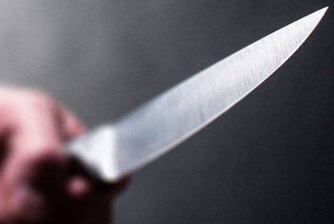 ‘Fofão’ e ‘Carlinhos’ são presos após esfaquearem homem até a morte no interior do AM