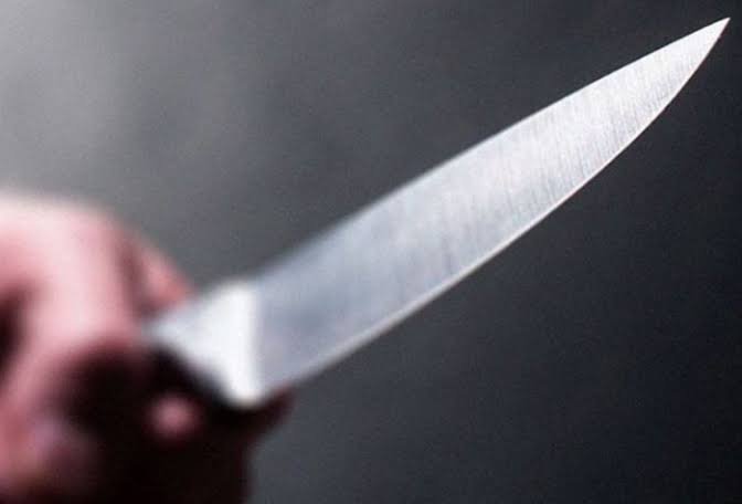 ‘Fofão’ e ‘Carlinhos’ são presos após esfaquearem homem até a morte no interior do AM