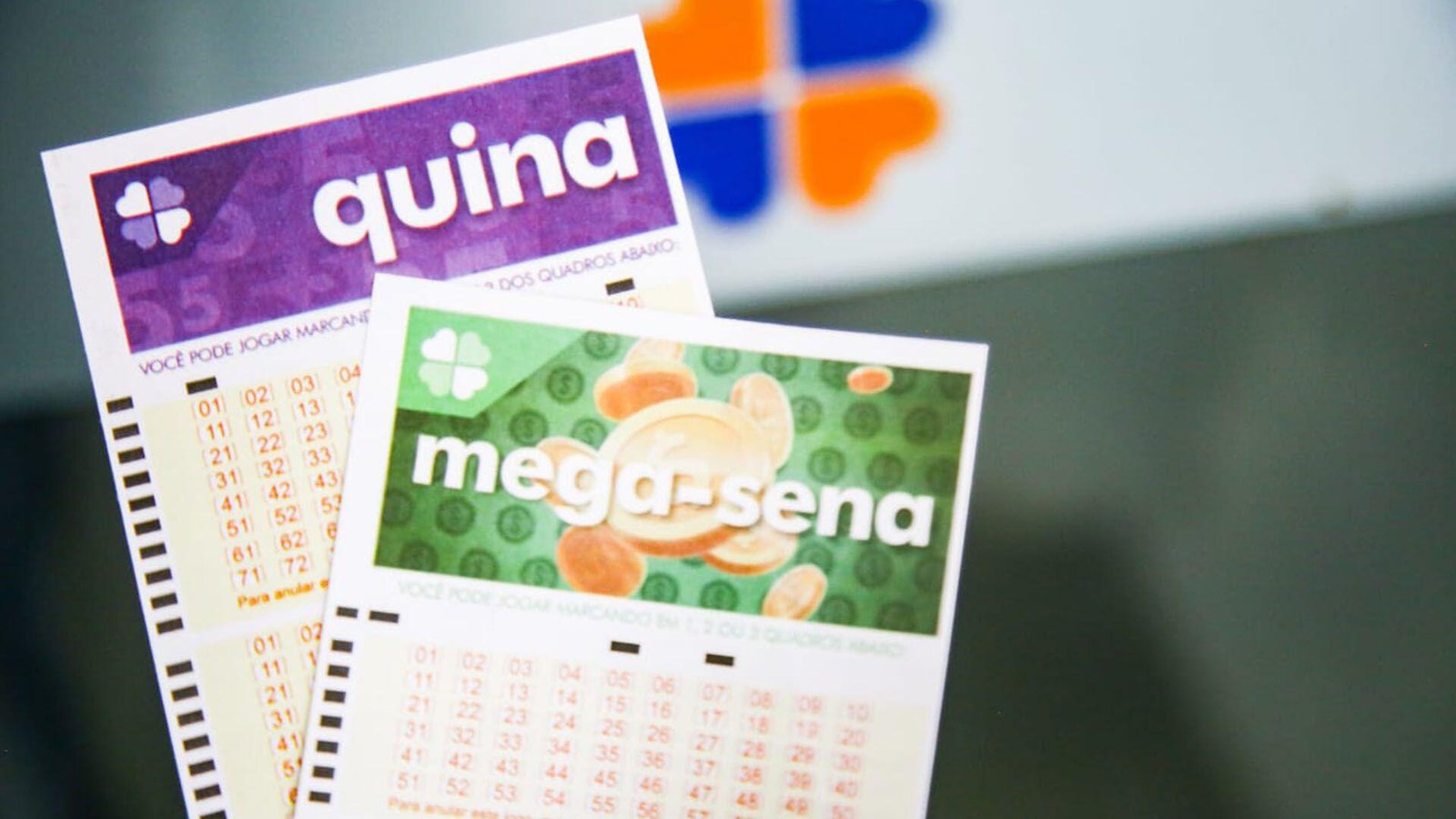 Quina pode pagar prêmio acumulado de R$ 42 milhões em sorteio neste sábado