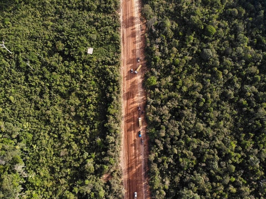 Tribunal Federal autoriza retomada de obra na BR-319