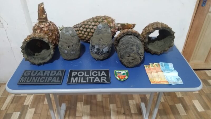 Dupla é presa ao esconder droga dentro de abacaxi no interior do AM