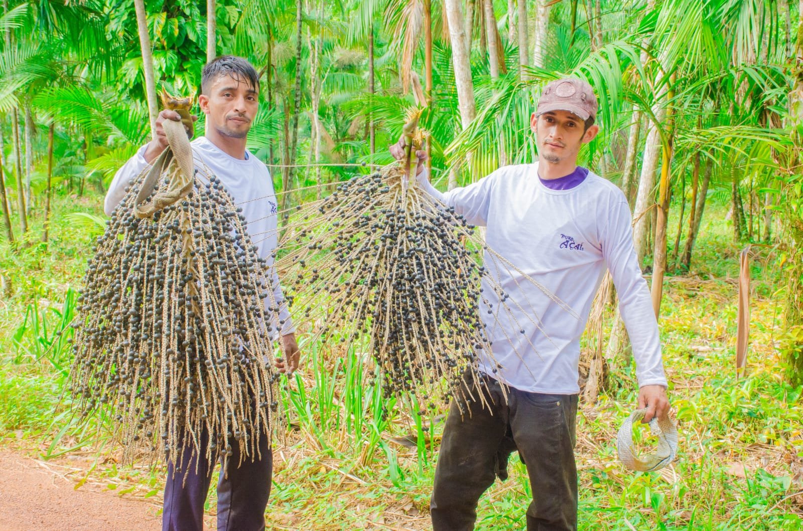 Causas socioambientais entram na pauta para sucesso das franquias no Amazonas