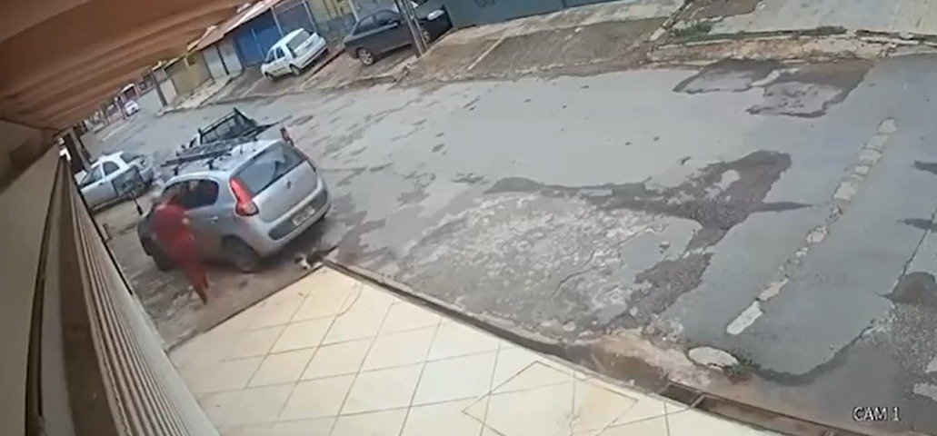 IMAGENS FORTES: Mulher chuta e mata gato atropelado