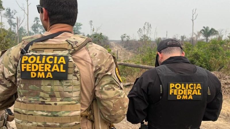 PF prende suspeito de desmatamento de terras públicas no AM