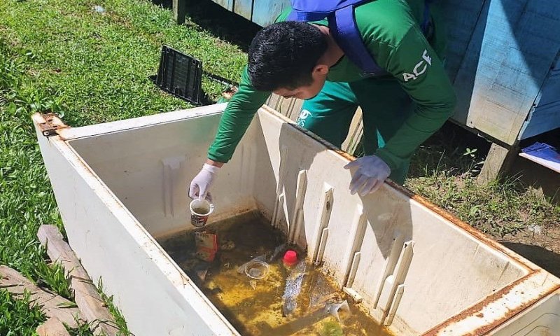 Amazonas divulga informe epidemiológico de arboviroses no Amazonas