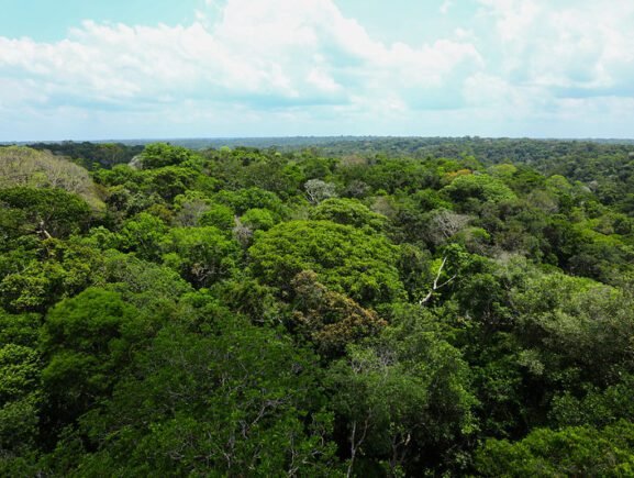 Sema mobiliza sociedade para propor soluções climáticas na 5ª Conferência Estadual do Meio Ambiente