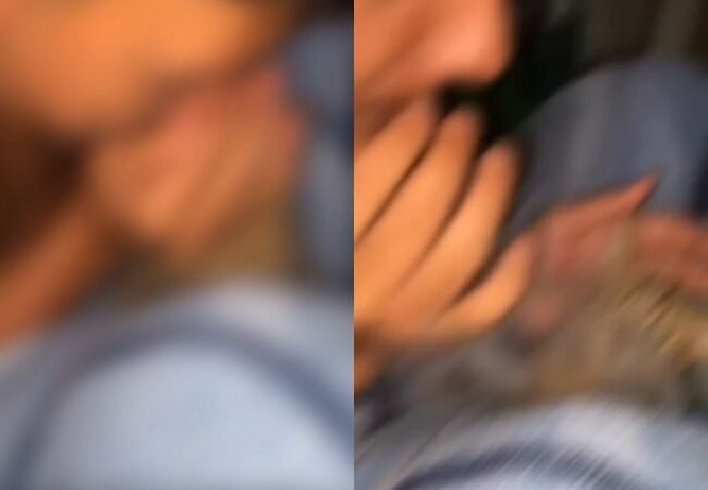 Jovem assopra fumaça de maconha no focinho de gato e gera revolta