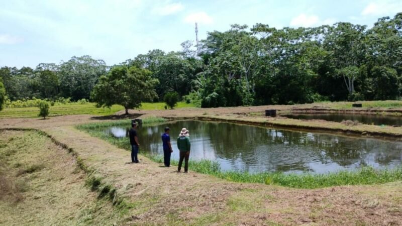 Municípios do Alto Solimões recebem ações ambientais do Ipaam a partir de quinta-feira