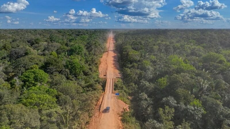 Observatório do Clima aciona Justiça para suspender editais de pavimentação da BR-319