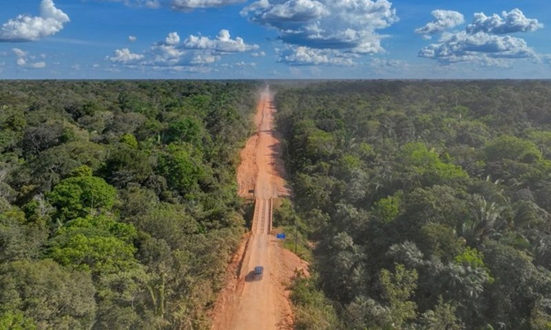 Observatório do Clima aciona Justiça para suspender editais de pavimentação da BR-319