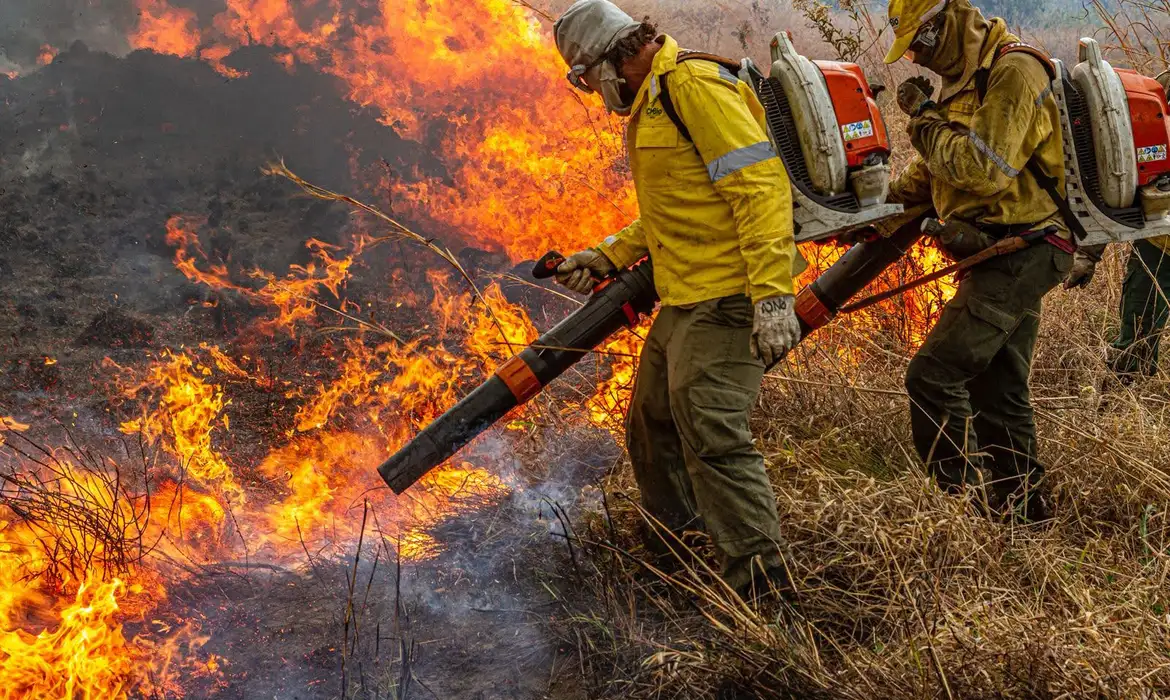 Nova estratégia mira proteção ambiental