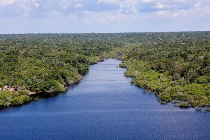 Amazonas ganha quatro novas reservas de desenvolvimento sustentável